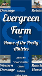 Mobile Screenshot of evergreenpaints.com
